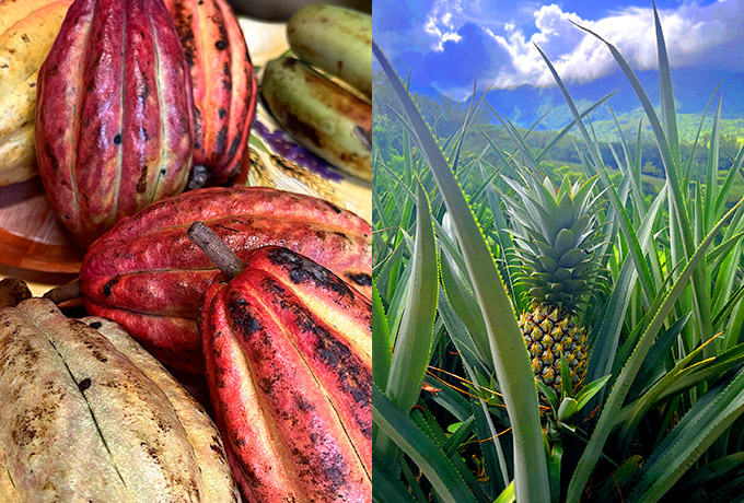 研修旅行 in タヒチ写真